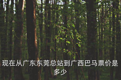 現(xiàn)在從廣東東莞總站到廣西巴馬票價(jià)是多少