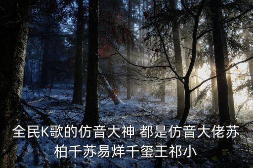 儲成仿，全民K歌的仿音大神 都是仿音大佬蘇柏千蘇易烊千璽王祁小