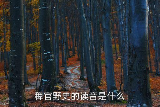 稗官野史的拼音，蟲的拼音