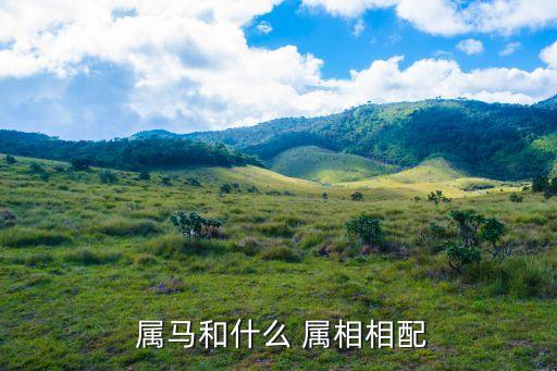 屬馬的屬相婚配表,屬馬of屬相婚配表