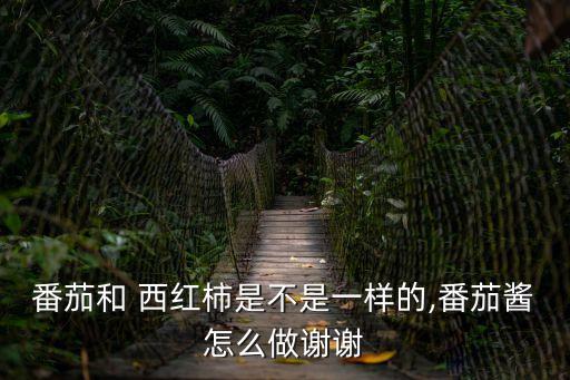 番茄和 西紅柿是不是一樣的,番茄醬怎么做謝謝