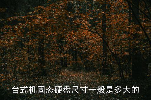 臺式機固態硬盤尺寸一般是多大的
