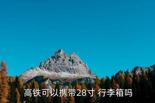  高鐵可以攜帶28寸 行李箱嗎