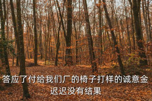 答應了付給我們廠的椅子打樣的誠意金遲遲沒有結果