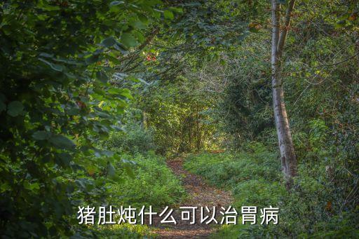 豬肚燉什么治胃病，豬肚燉什么治療胃病