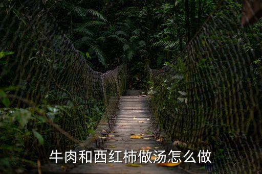 牛肉燉西紅柿，牛肉和西紅柿做湯怎么做