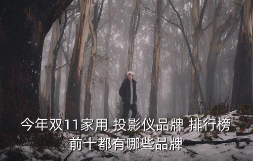 投影儀品牌排行榜,投影儀品牌排名出爐我最看好吉米和大眼橙