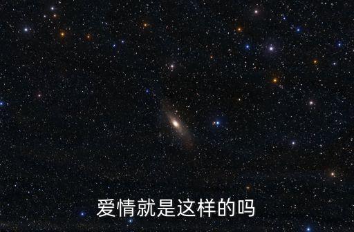 愛情不就是這樣，愛情就是這樣的嗎