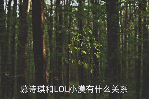 慕詩(shī)琪和LOL小漠有什么關(guān)系
