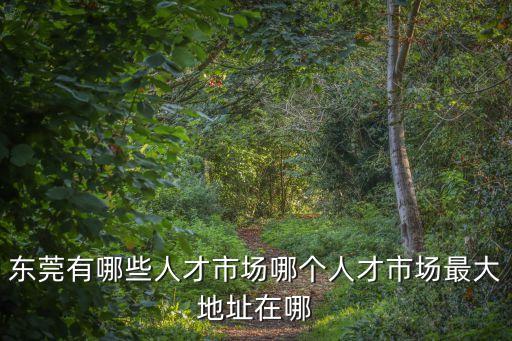 東莞有哪些人才市場哪個人才市場最大地址在哪