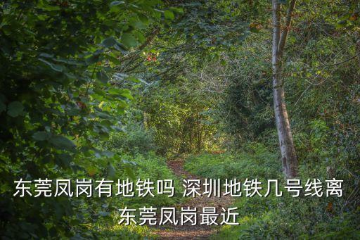 東莞鳳崗有地鐵嗎 深圳地鐵幾號線離東莞鳳崗最近