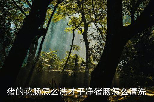 豬的花腸怎么洗才干凈豬腸怎么清洗