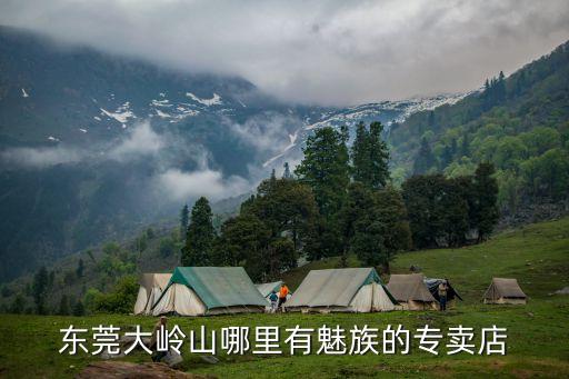 東莞大嶺山哪里有魅族的專賣店