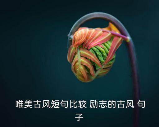  唯美古風短句比較 勵志的古風 句子