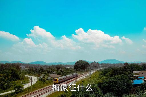 梅花的含義，梅花的含意是啥