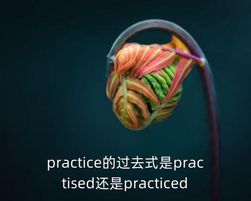 practice的過去式，practice的過去式是practised還是practiced