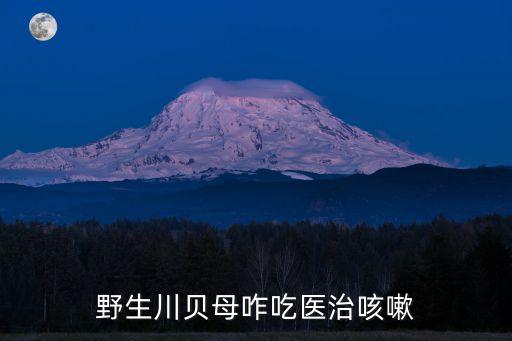 貝母怎樣吃止咳效果好，野生川貝母咋吃醫治咳嗽