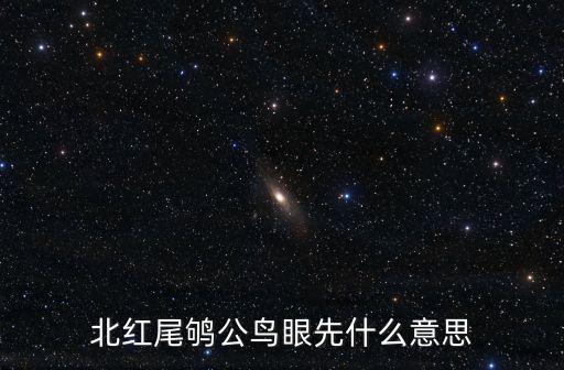 北紅尾鴝公鳥眼先什么意思