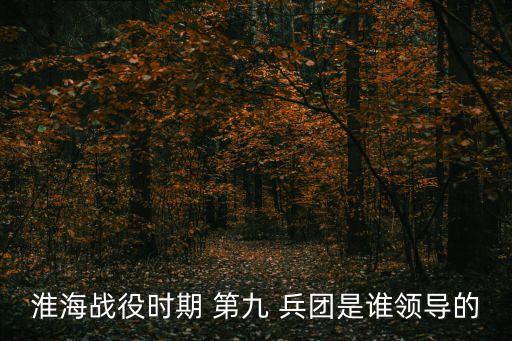 失蹤的第九兵團(tuán),50年代中期解放軍撤銷兵團(tuán)序號(hào)