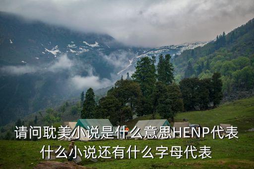 請問耽美小說是什么意思HENP代表什么小說還有什么字母代表