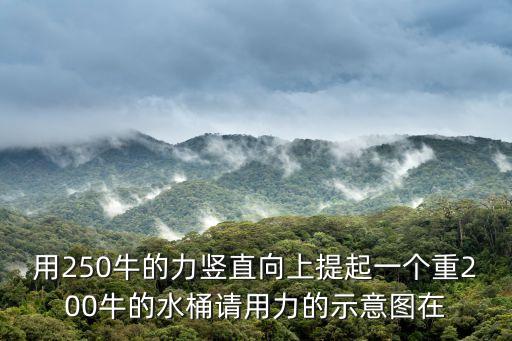 水桶怎么畫，用200N的力提水桶畫出水桶受到拉力的示意圖