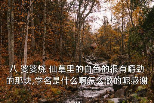 八婆婆燒仙草,閩南傳統小吃阿達子涼水里解暑