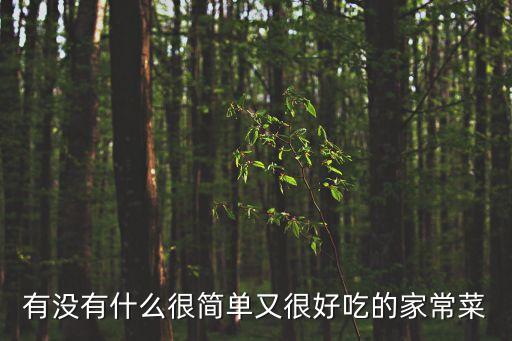 有沒有什么很簡單又很好吃的家常菜