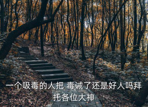 一個吸毒的人把 毒誡了還是好人嗎拜托各位大神