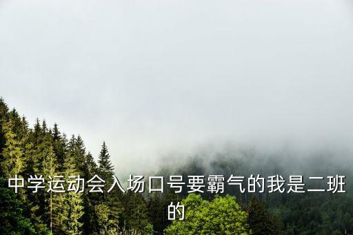 中學生運動會口號，中學運動會入場口號要霸氣的我是二班的
