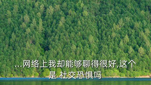 ...網絡上我卻能夠聊得很好,這個是 社交恐懼嗎