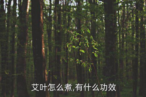 艾葉煮水喝有什么功效,艾葉可治療女性疾病嗎?