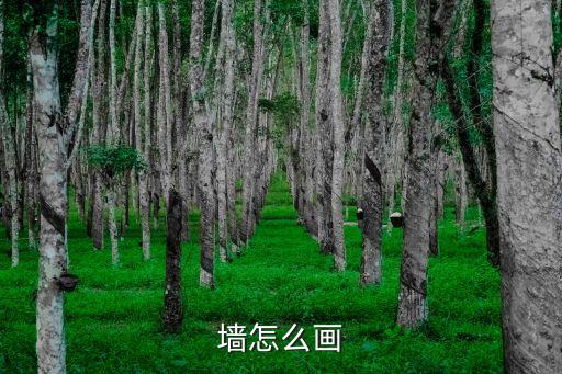 墻怎么畫