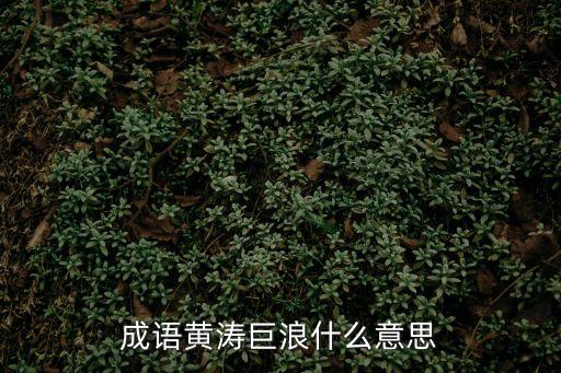 驚濤巨浪，黃河頌描寫如何瀑布驚濤巨浪的四字詞語有哪些