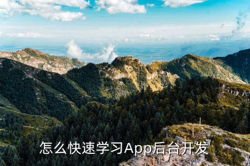 怎么快速學(xué)習(xí)App后臺(tái)開(kāi)發(fā)