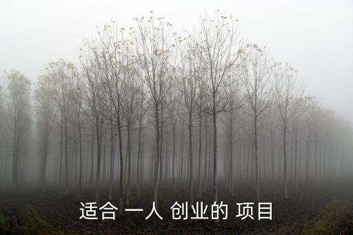 適合 一人 創業的 項目