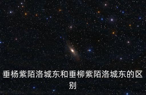 垂楊紫陌洛城東和垂柳紫陌洛城東的區(qū)別