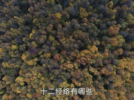 十二經絡有哪些