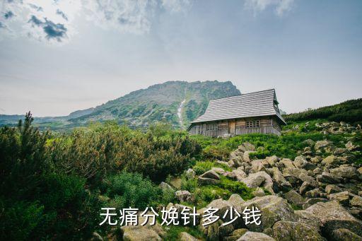 孕婦打無痛多少錢一針，生孩子打無痛分娩大概多少錢求解