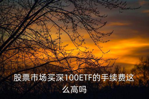 股票市場(chǎng)買(mǎi)深100ETF的手續(xù)費(fèi)這么高嗎