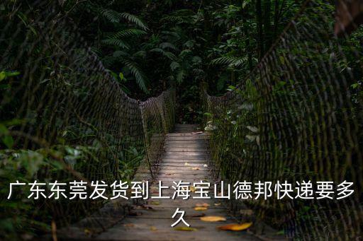 廣東東莞發(fā)貨到上海寶山德邦快遞要多久