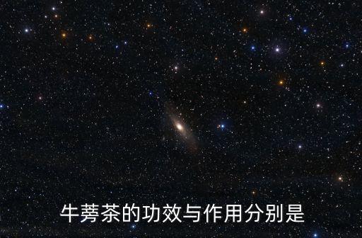  牛蒡茶的功效與作用分別是