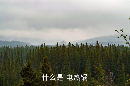 電熱鍋的用途,保牌多用途電熱鍋使用方法如下