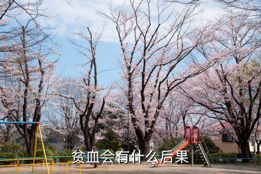 貧血會導致什么后果，貧血會有什么后果