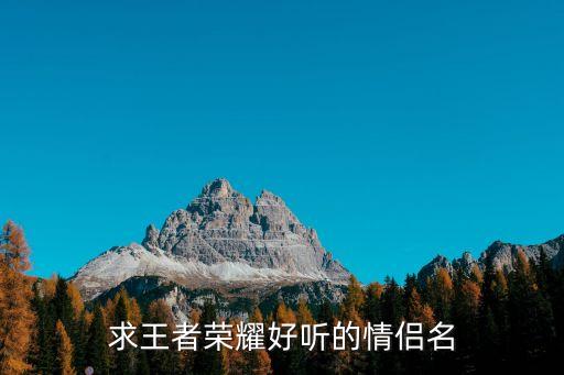 求王者榮耀好聽的情侶名