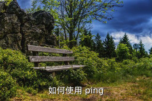 如何使用 ping