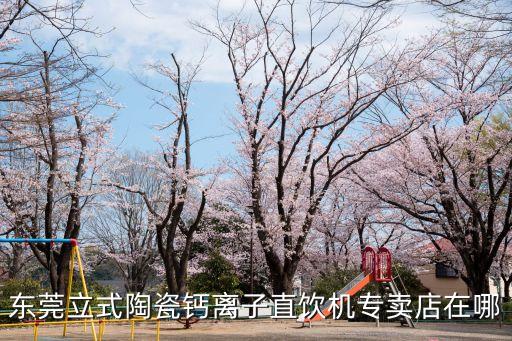 東莞立式陶瓷鈣離子直飲機專賣店在哪