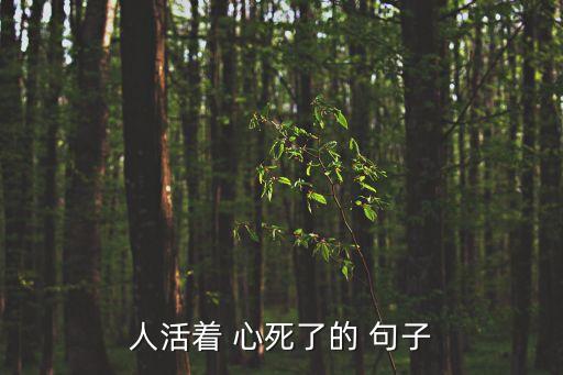 心死的句子,第二集:我和你一樣希望被珍惜