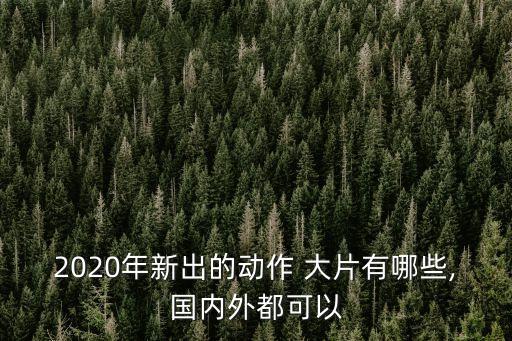 2020年新出的動作 大片有哪些,國內外都可以