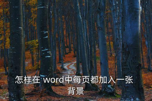 怎樣在 word中每頁(yè)都加入一張 背景