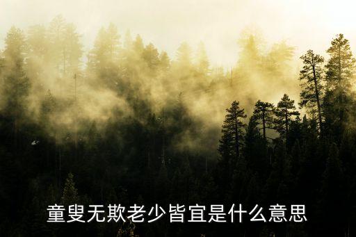 童嫂無欺,童:未成年兒童；蘇:老人:孩子不欺負